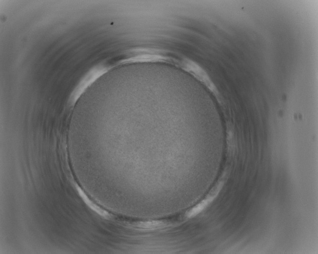 X0000080721425200612151147