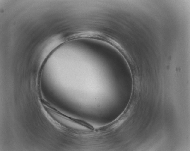 X0000080721426200612151147