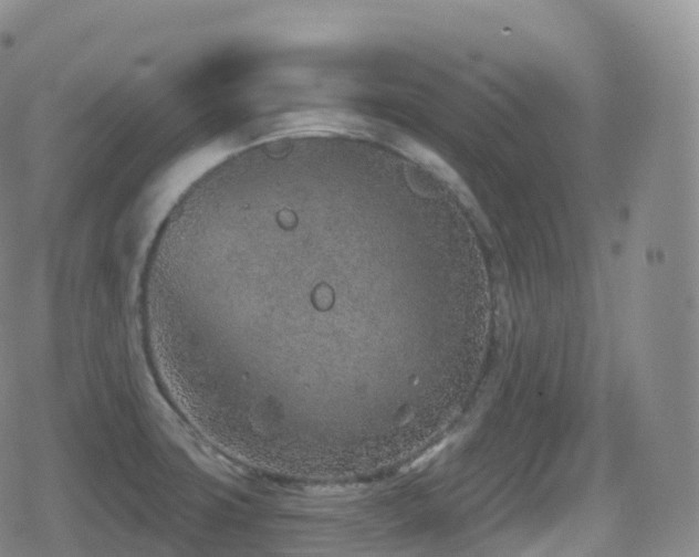 X0000080721427200612151147