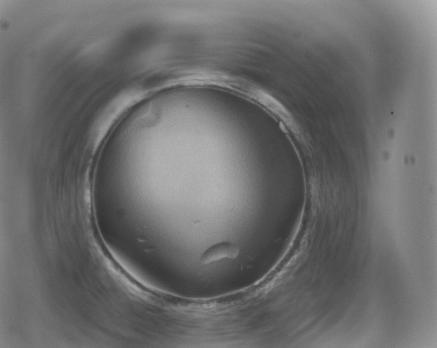 X0000080721428200612151148