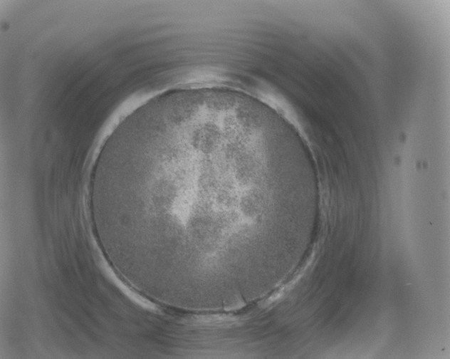 X0000080721429200612151148