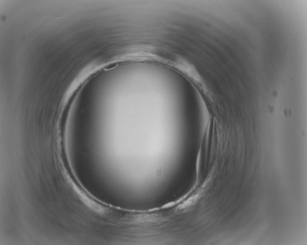 X0000080721430200612151148