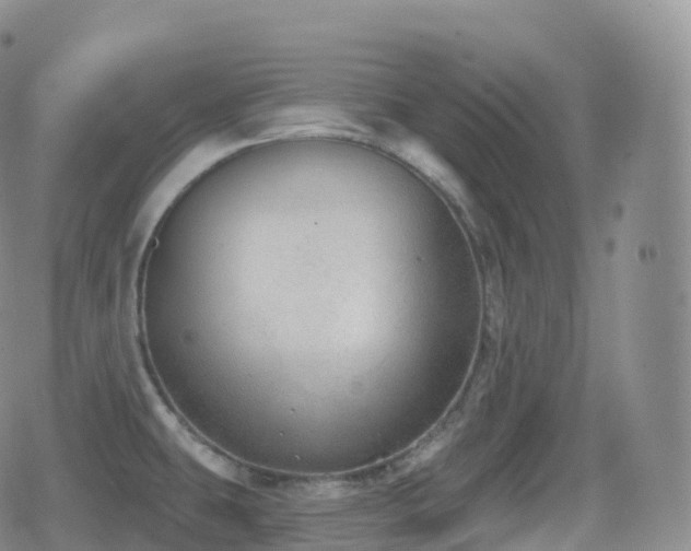 X0000080721431200612151148