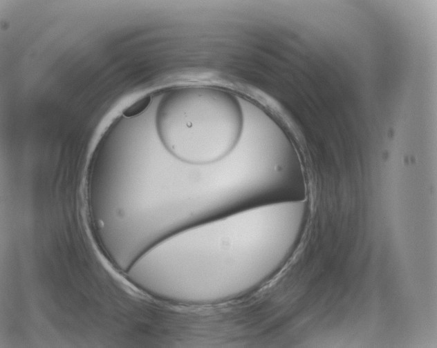 X0000080721432200612151148