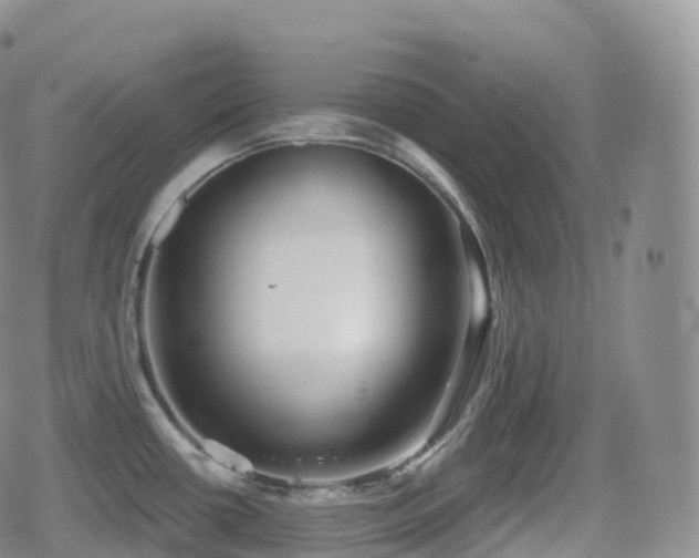 X0000080721434200612151148