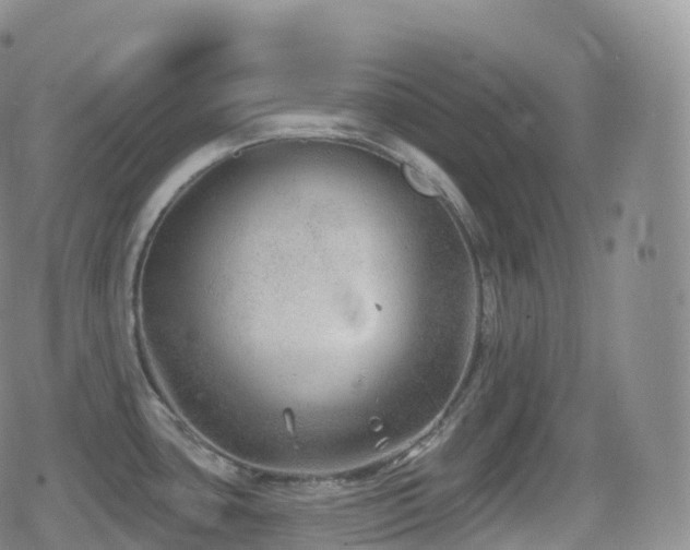 X0000080721435200612151148