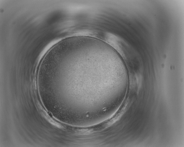 X0000080721436200612151148