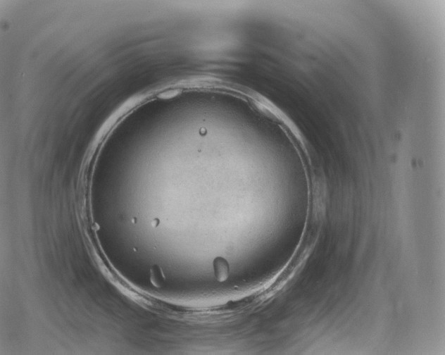 X0000080721437200612151148