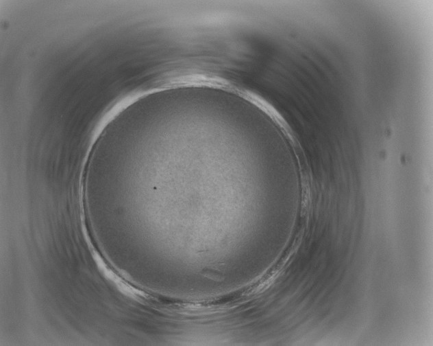 X0000080721439200612151148