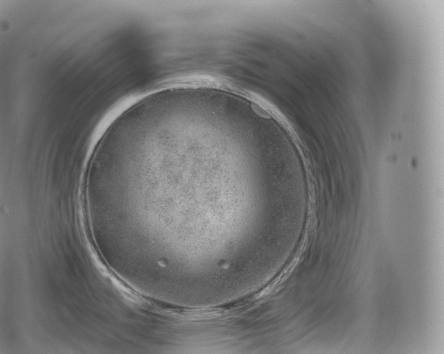 X0000080721440200612151148