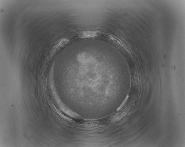 X0000080721441200612151147