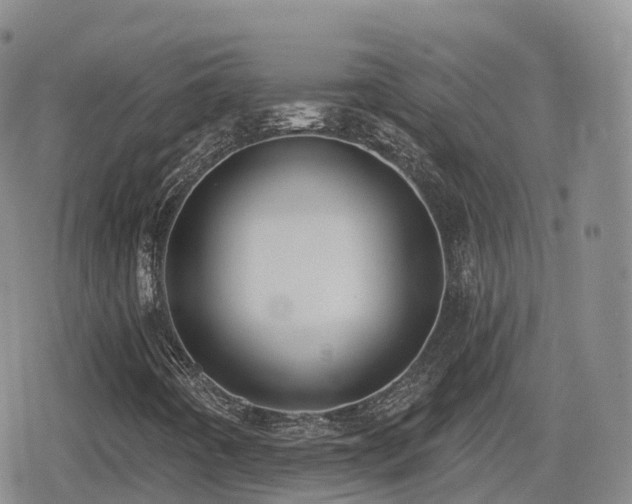 X0000080721442200612151147