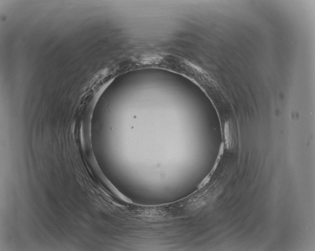 X0000080721443200612151147