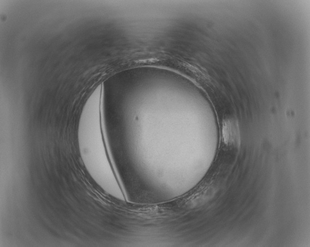 X0000080721444200612151147