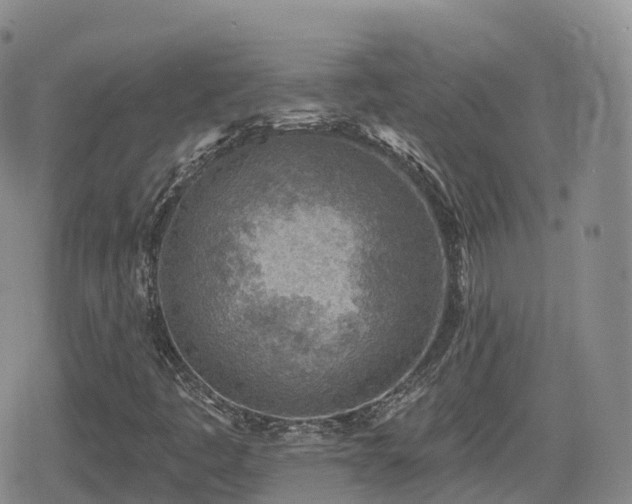 X0000080721445200612151147