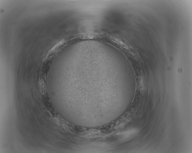 X0000080721446200612151147