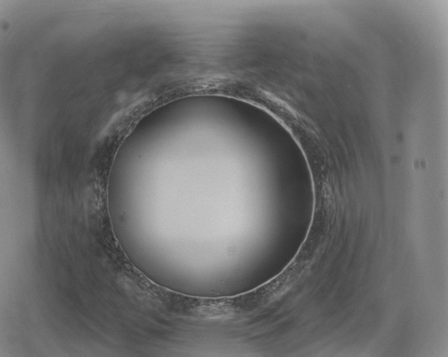 X0000080721447200612151147