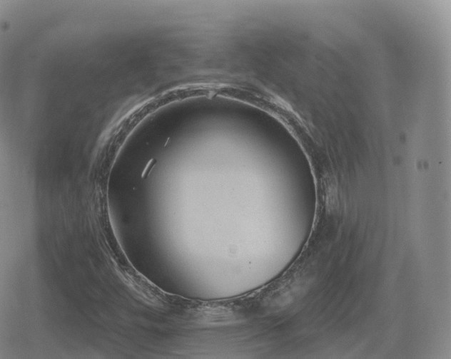 X0000080721448200612151147