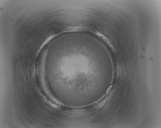 X0000080721449200612151147