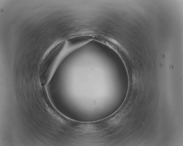 X0000080721450200612151147