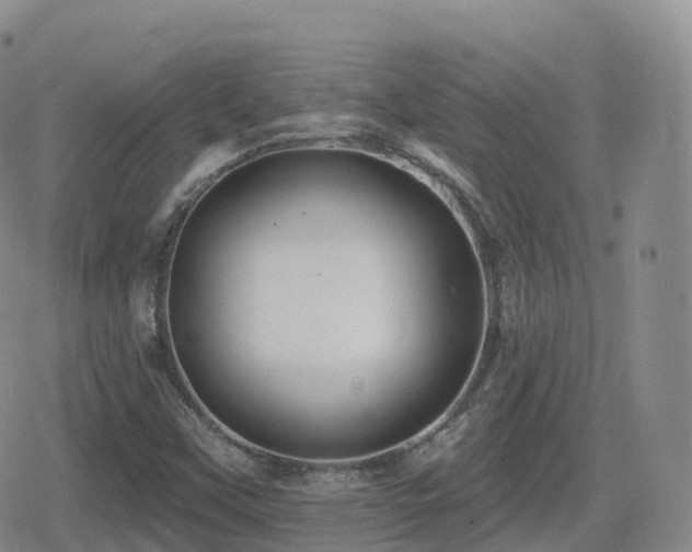 X0000080721451200612151147