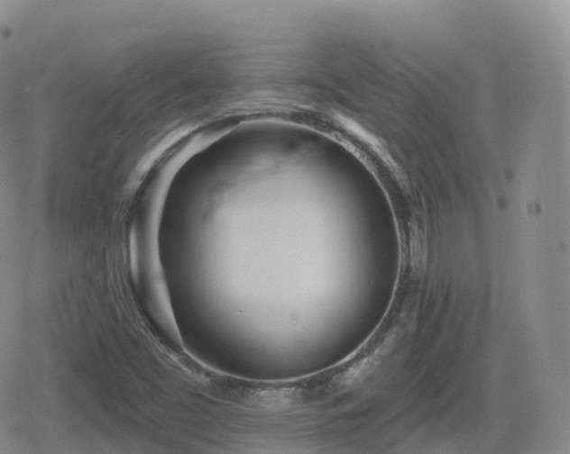 X0000080721453200612151147