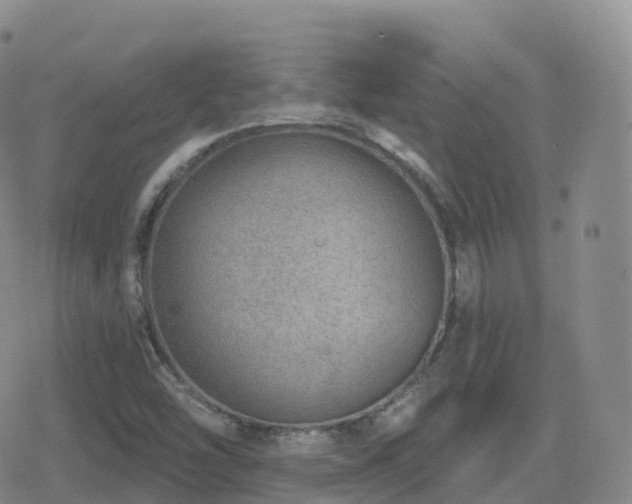 X0000080721454200612151147