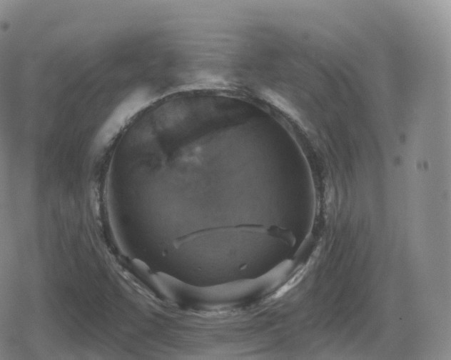 X0000080721455200612151147