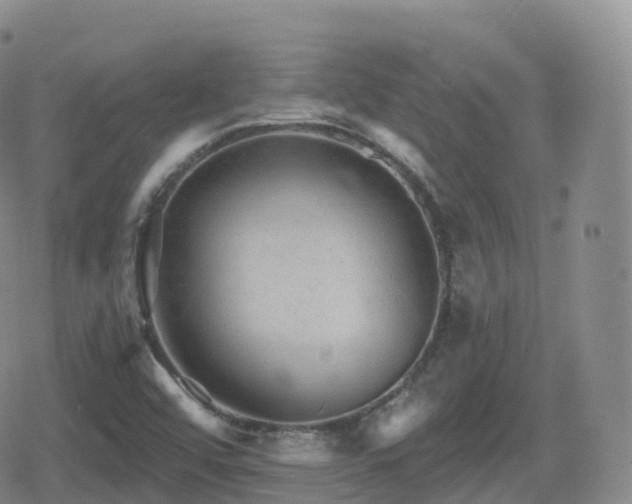 X0000080721456200612151147