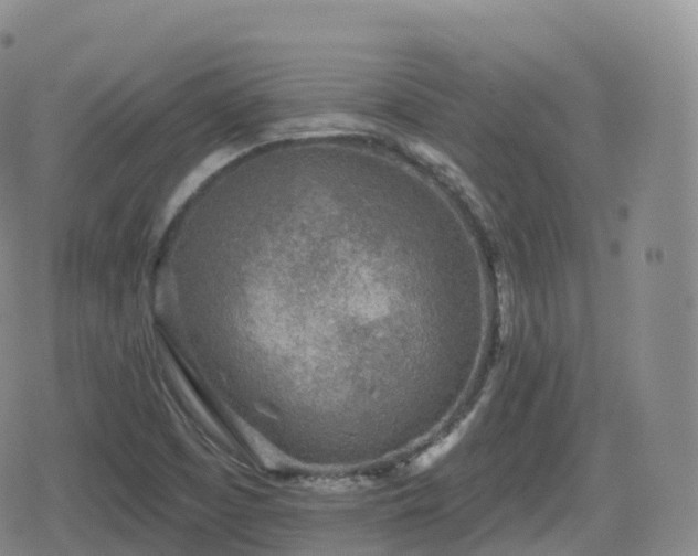 X0000080721457200612151147