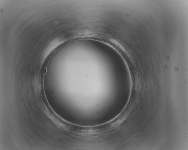 X0000080721458200612151147