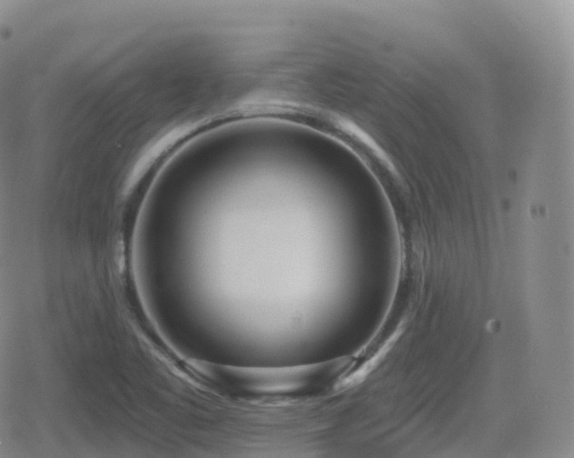 X0000080721461200612151147