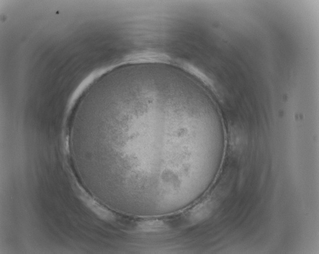 X0000080721462200612151147