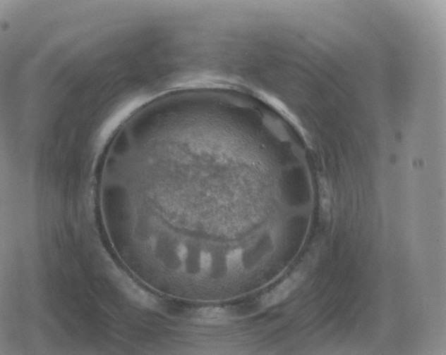 X0000080721463200612151147