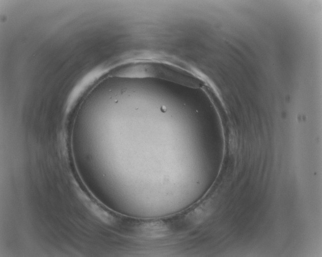 X0000080721464200612151147