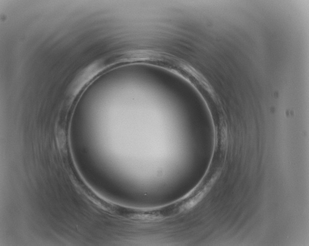 X0000080721465200612151147