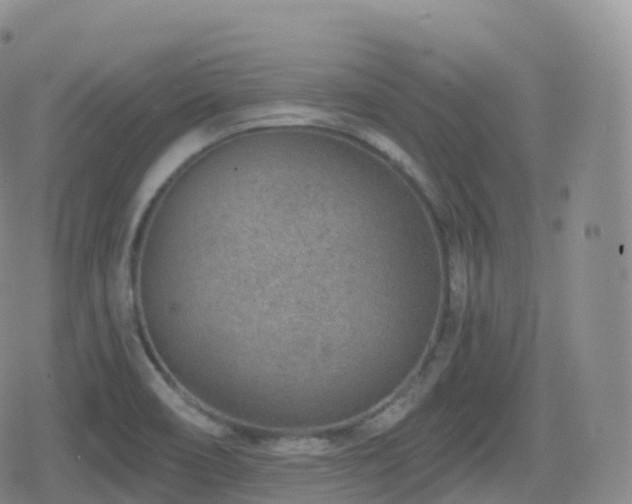 X0000080721466200612151147