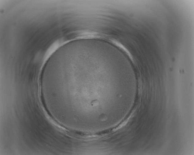 X0000080721467200612151147