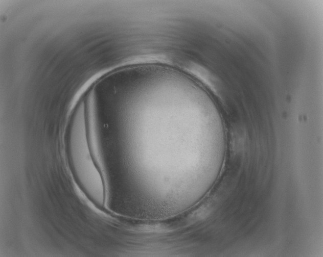 X0000080721468200612151146