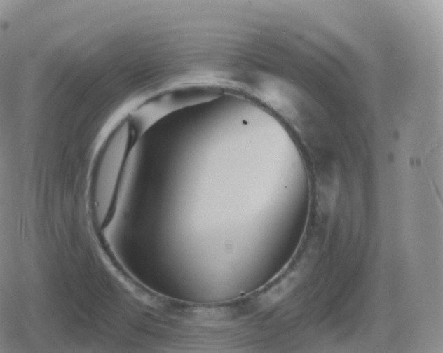 X0000080721469200612151146