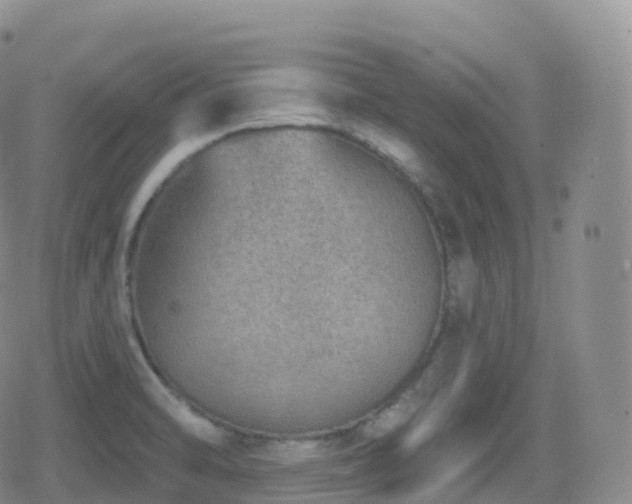 X0000080721470200612151146