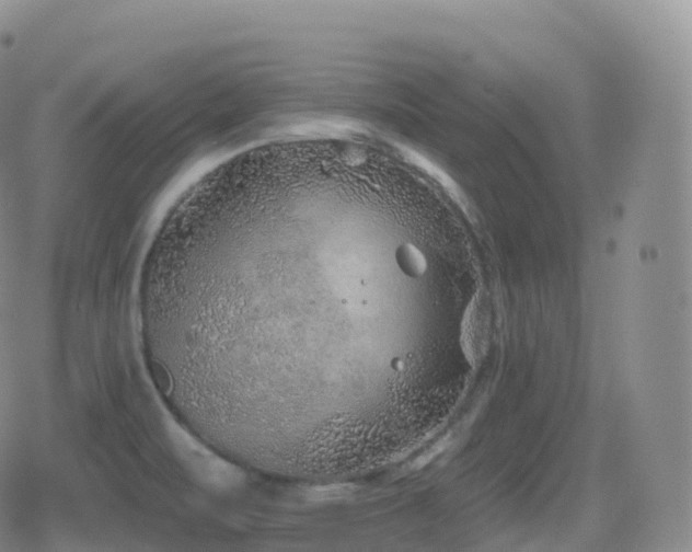 X0000080721471200612151146