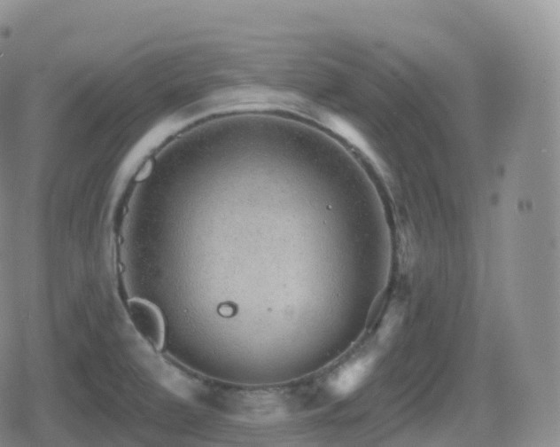 X0000080721472200612151146