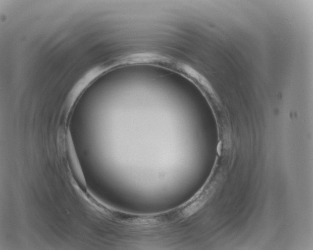 X0000080721473200612151146