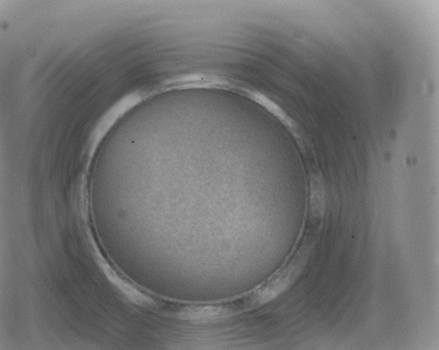 X0000080721474200612151146