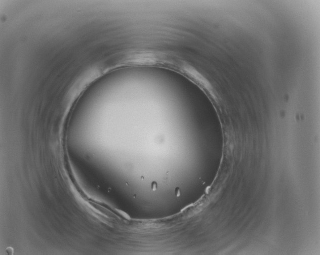 X0000080721475200612151146