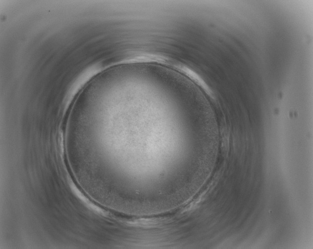 X0000080721476200612151146