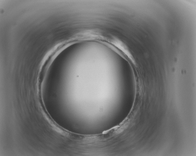 X0000080721477200612151146