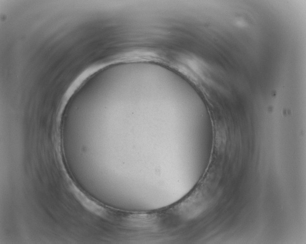 X0000080721478200612151146