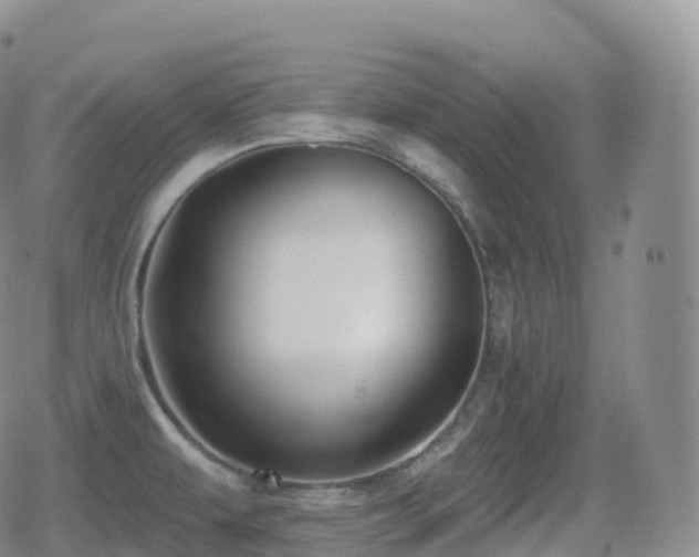 X0000080721479200612151146